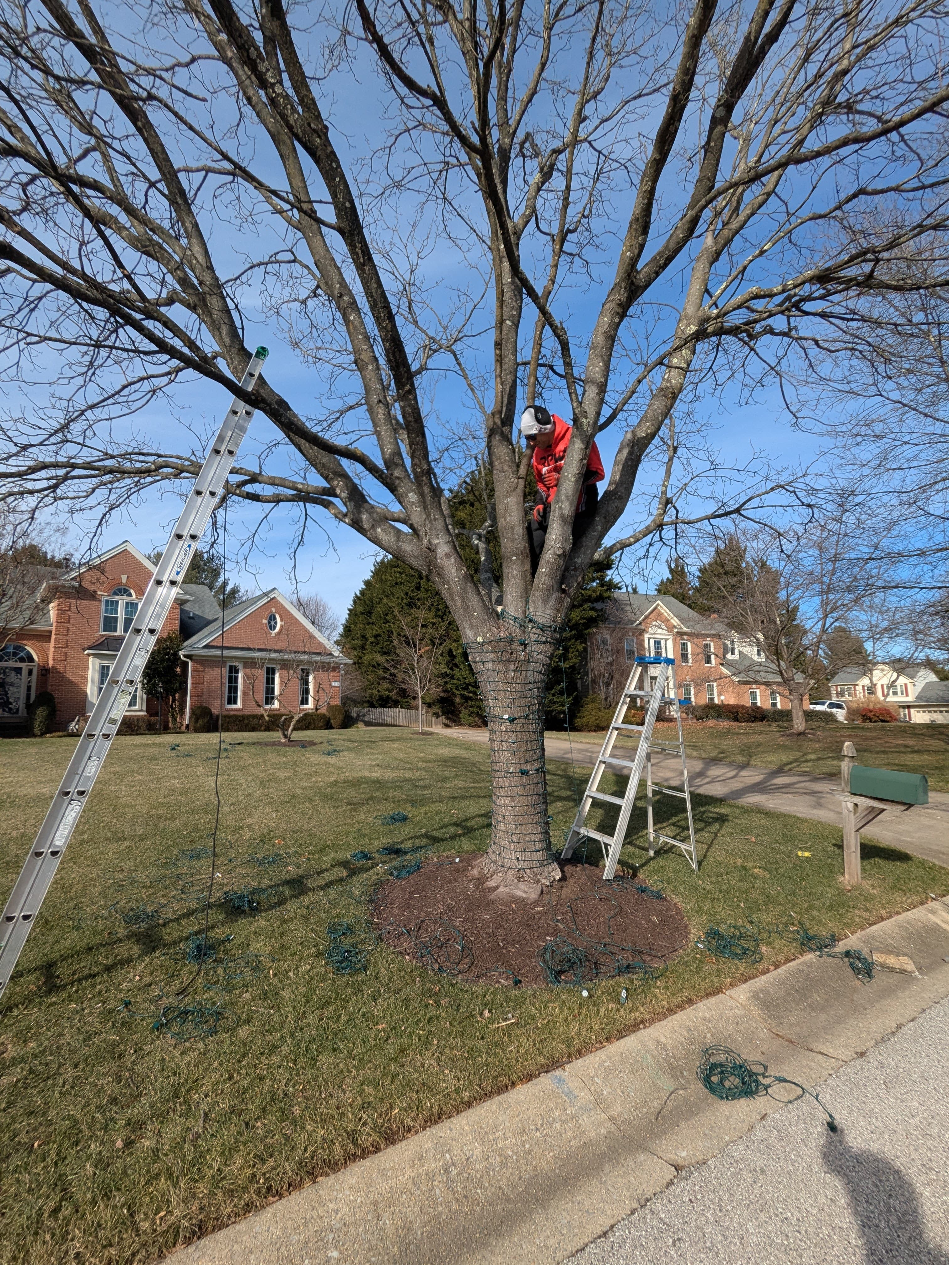 Christmas Light Installation