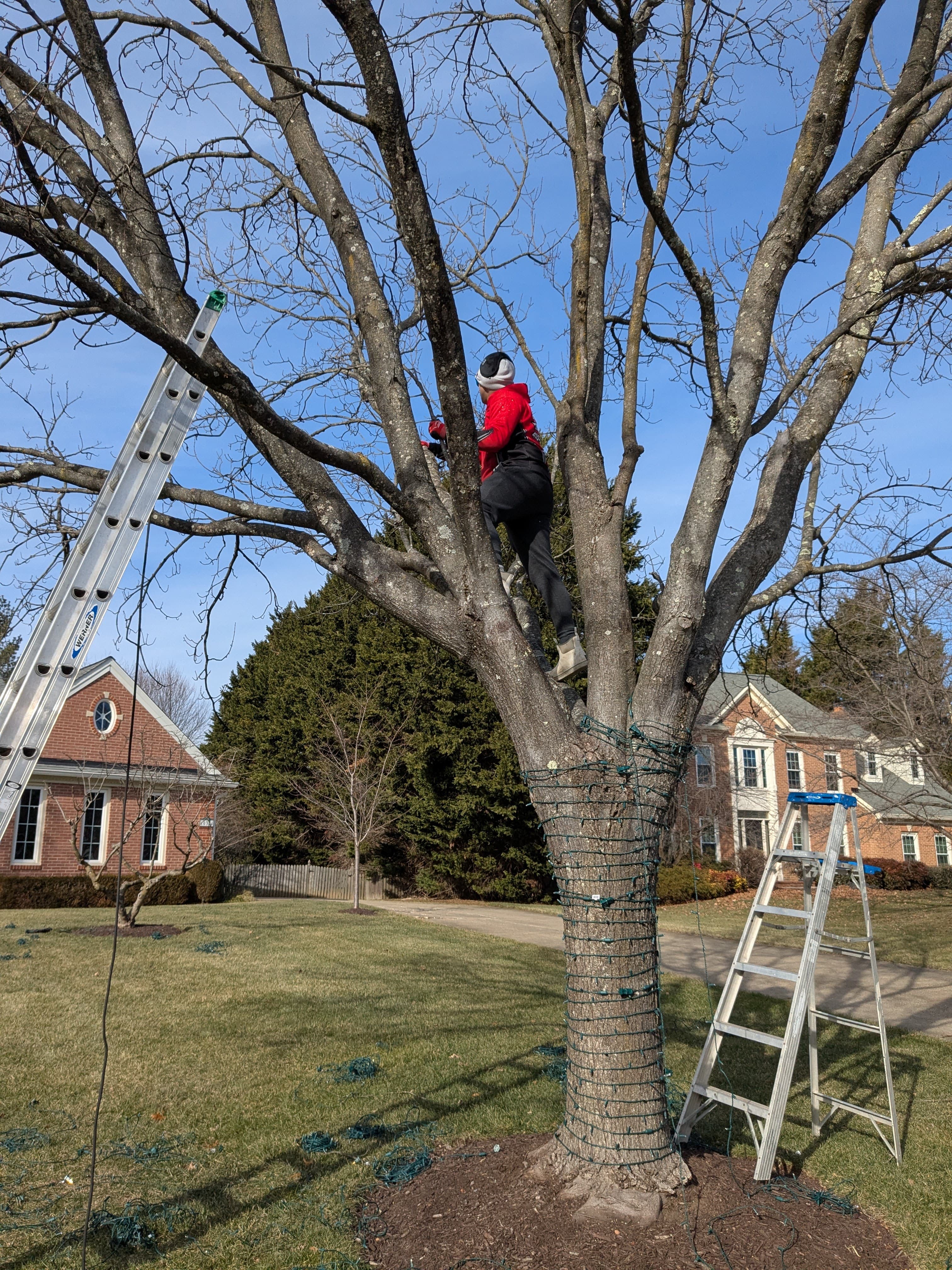 Christmas light installation job in Baltimore MD