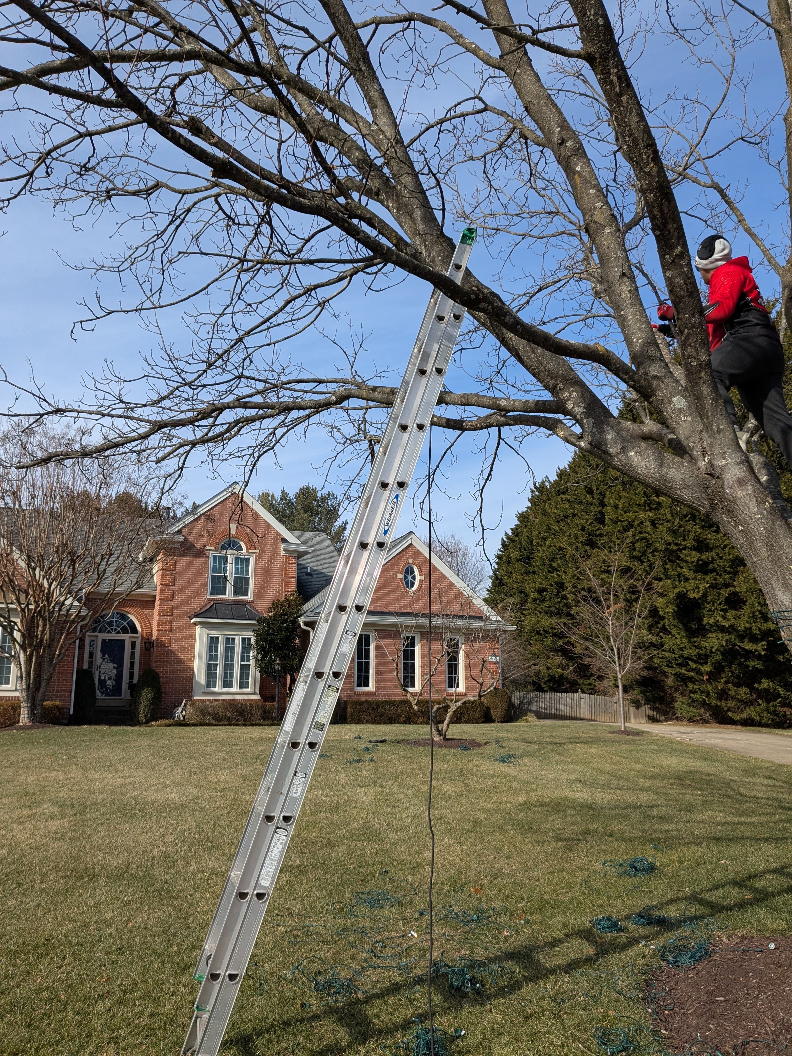 Christmas light installation job in Baltimore MD