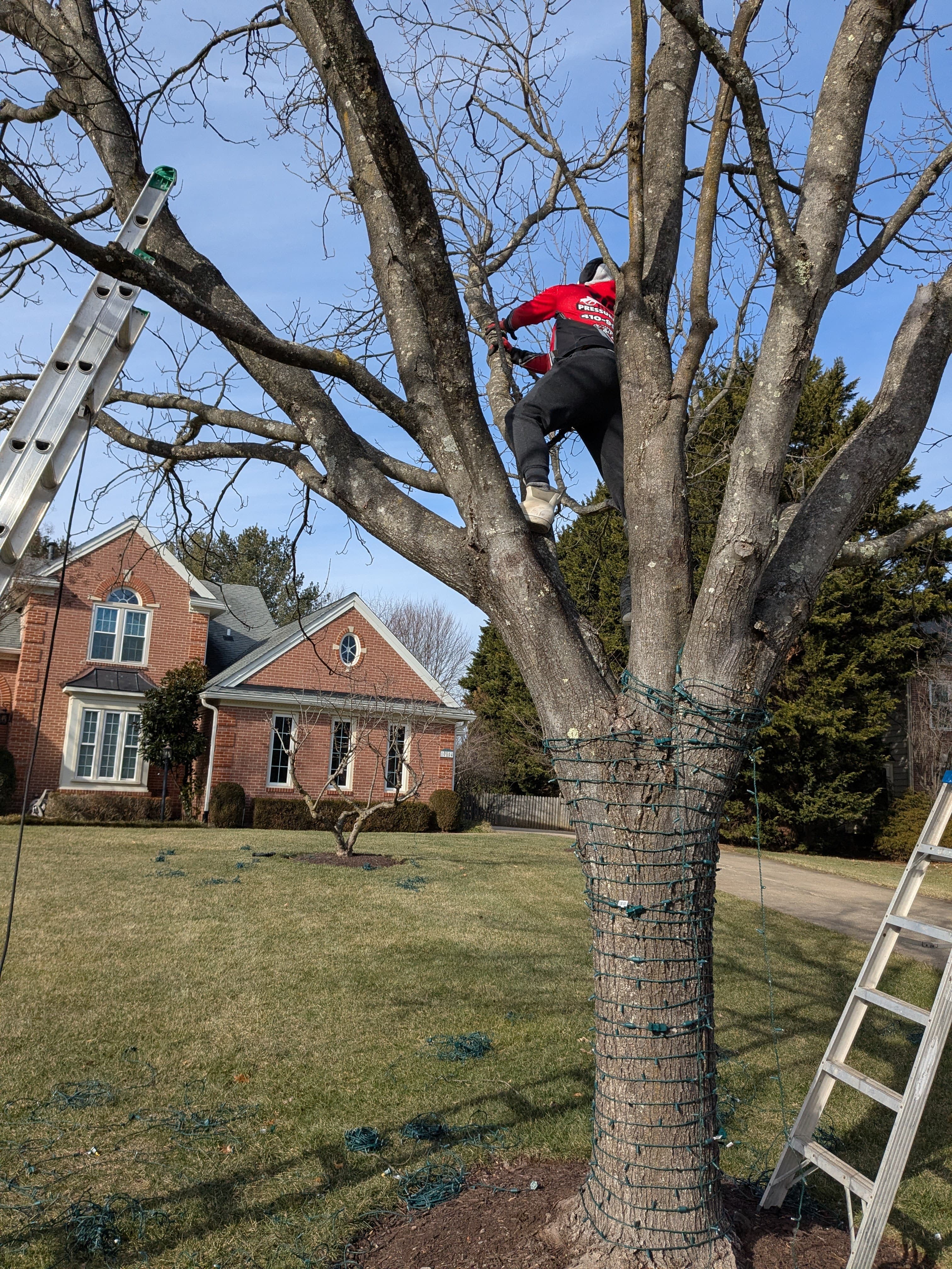 Christmas light installation job in Baltimore MD