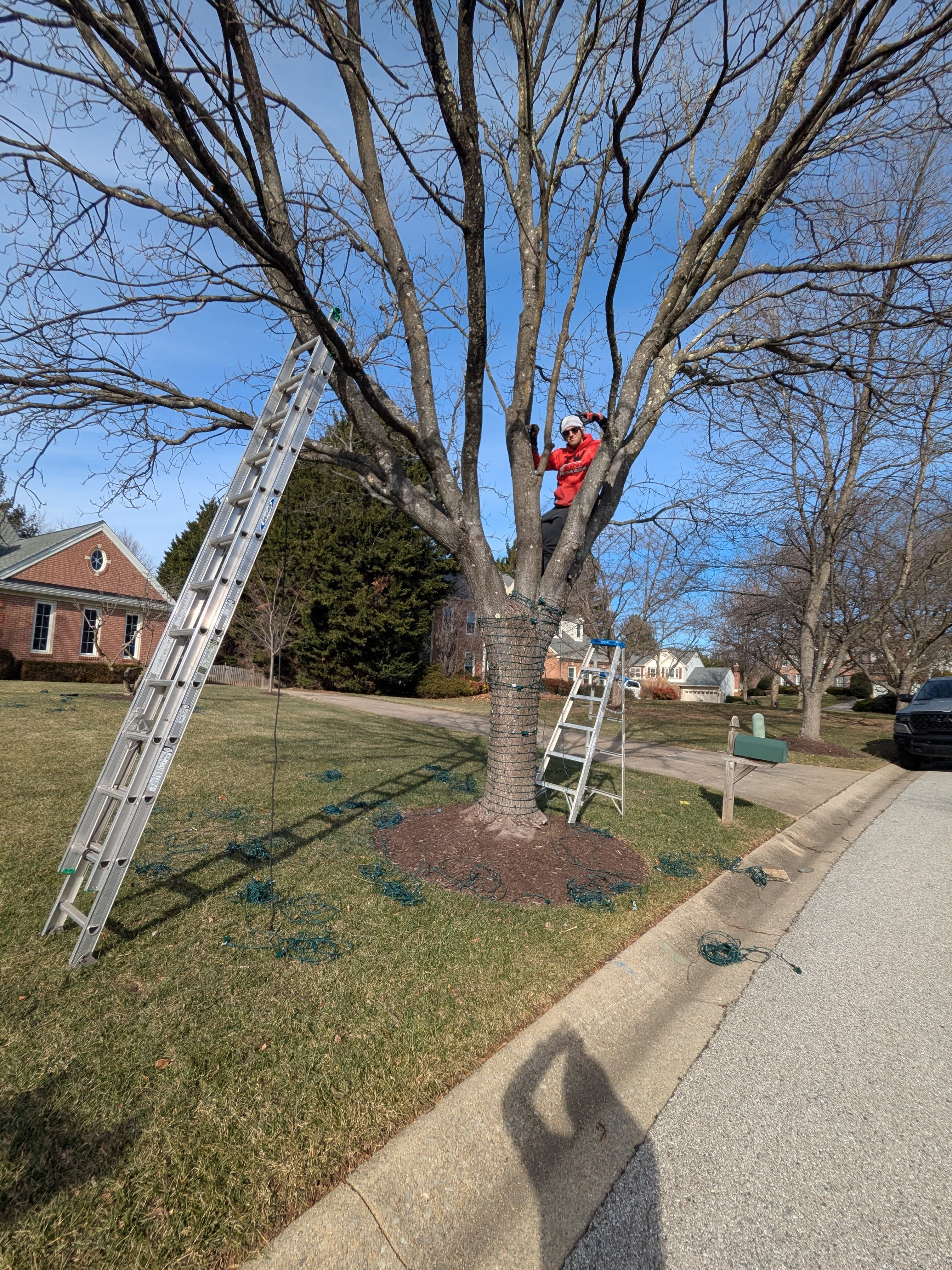 Christmas light installation job in Baltimore MD
