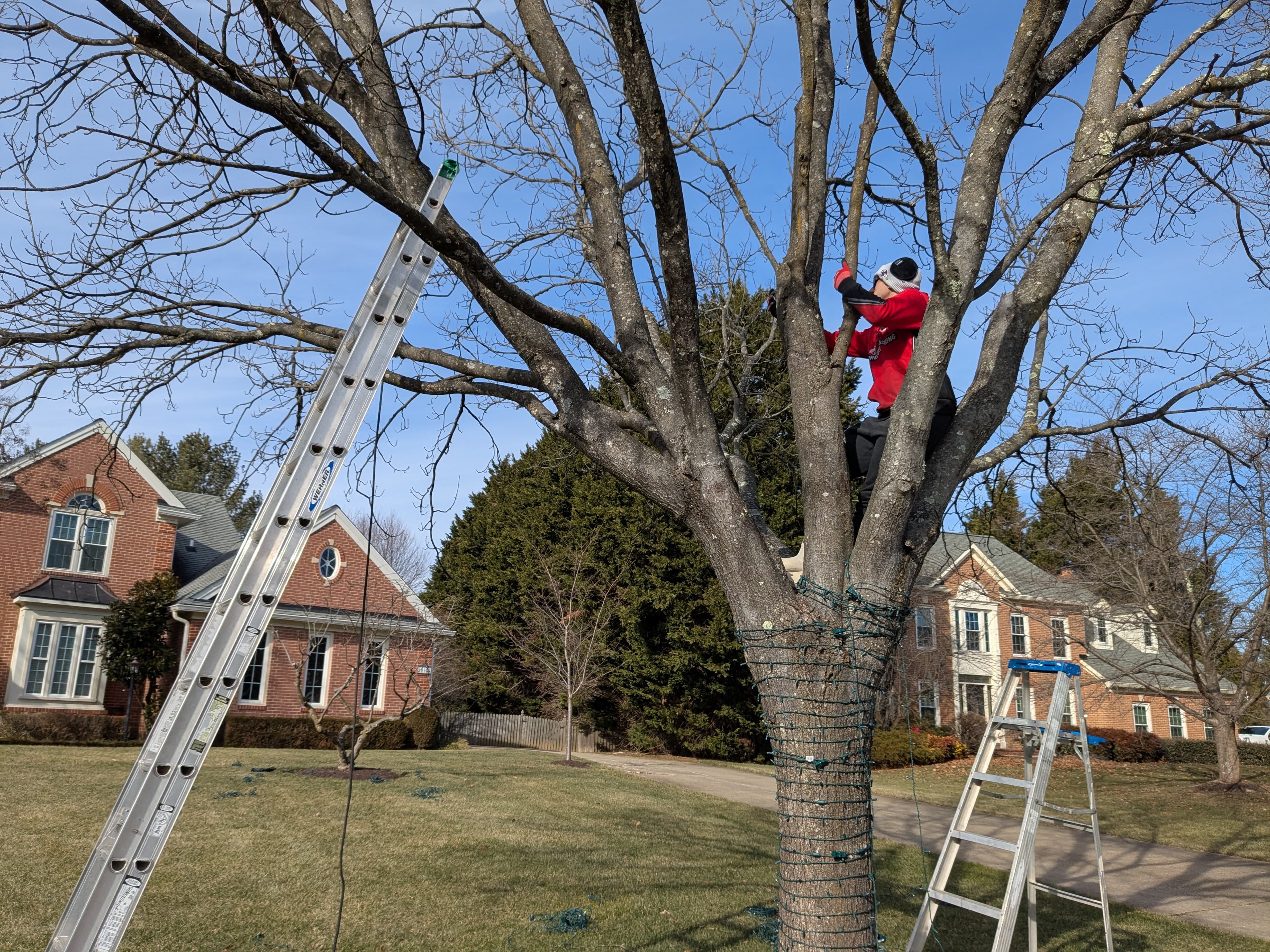 Christmas light installation job in Baltimore MD