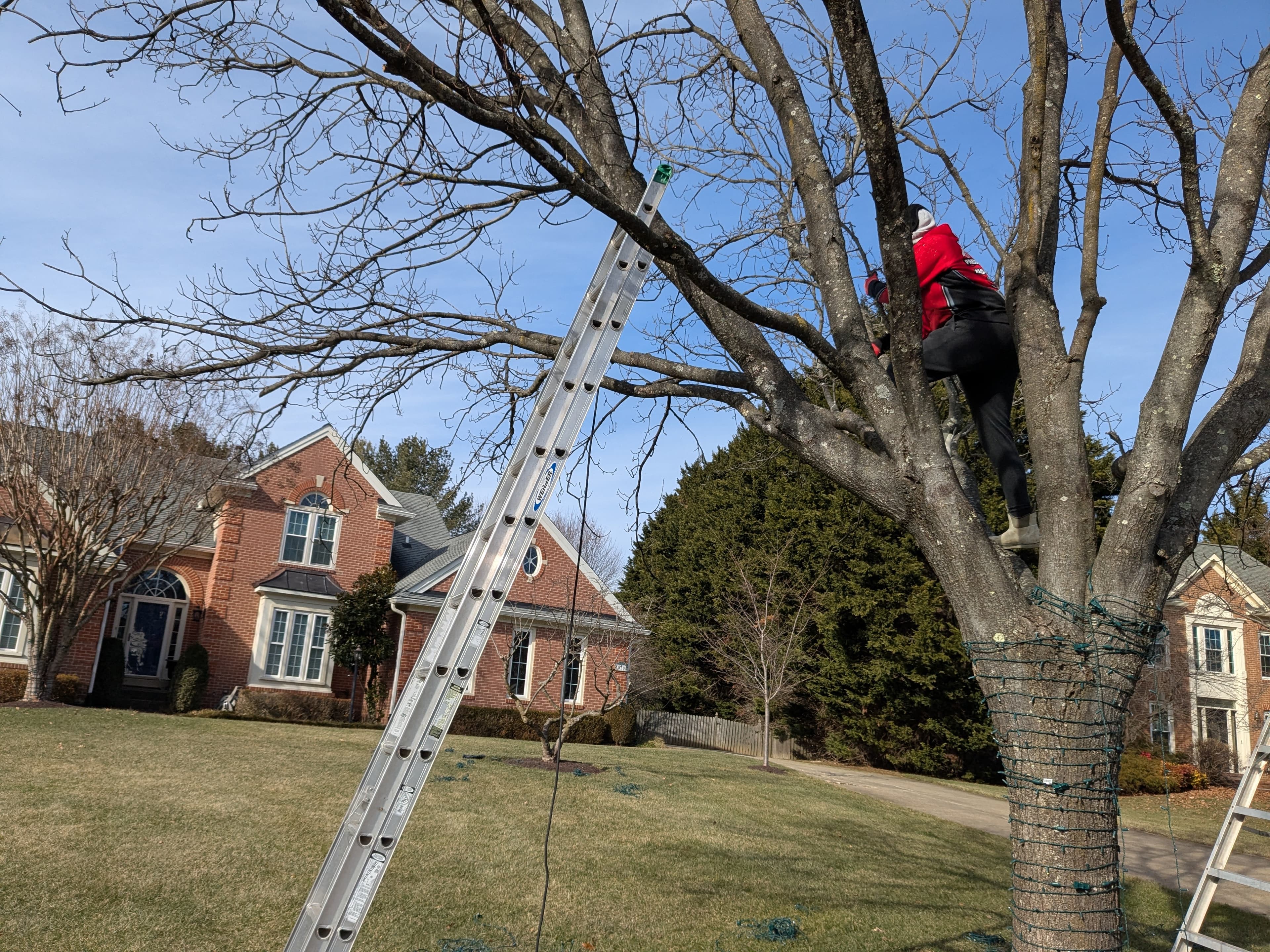 Christmas light installation job in Baltimore MD